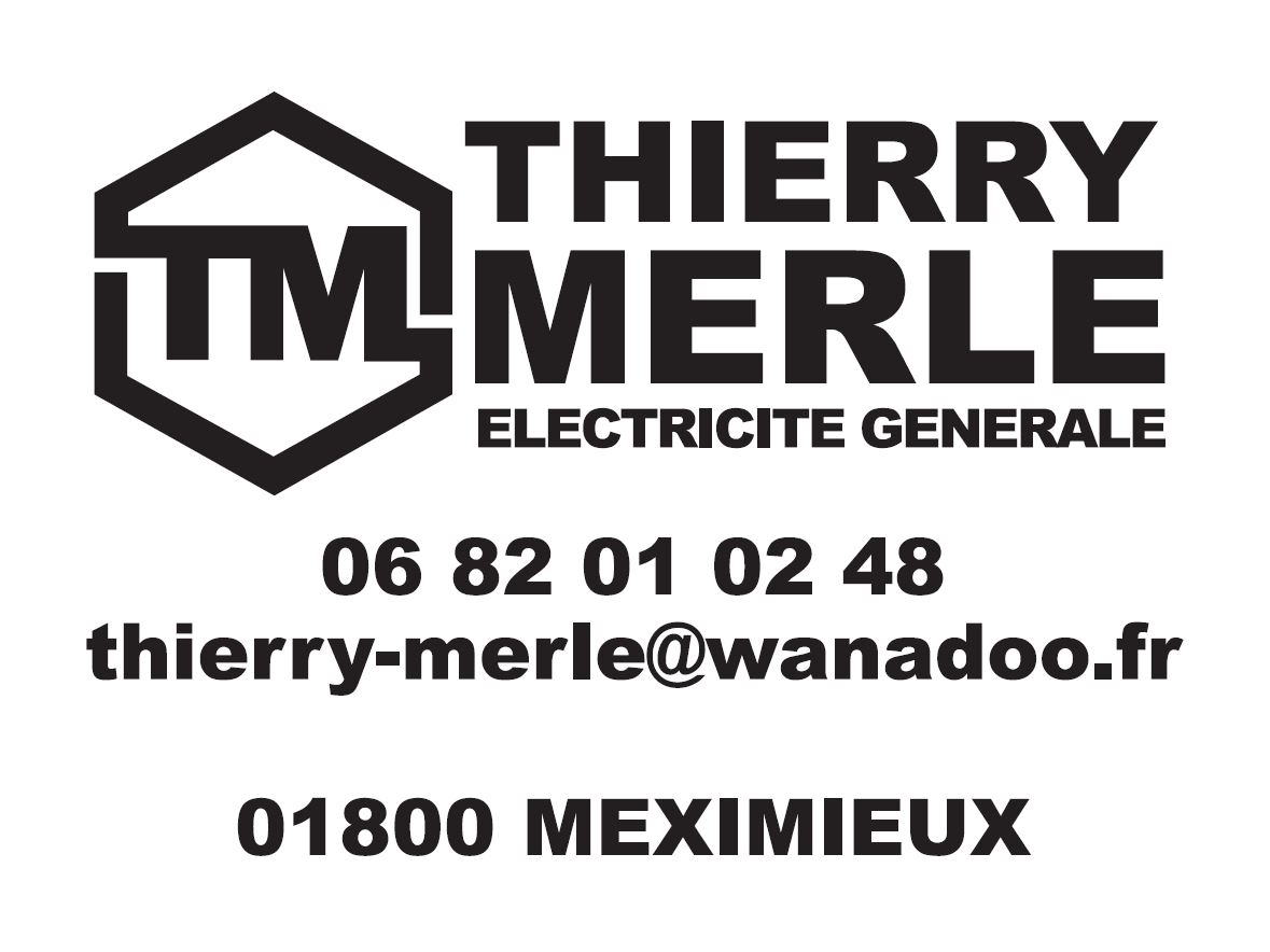 THIERRY MERLE